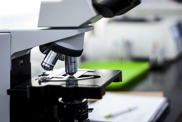 低氣味反應型胺催化劑,應用于對健康和舒適性有嚴格要求的領域