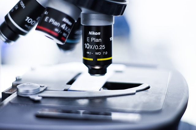 基于6000分子量聚醚的聚氨酯涂料在建筑和工業(yè)領域中的應用