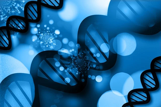 環保金屬催化劑新癸酸催干劑,替代傳統高毒性催干劑的升級選擇